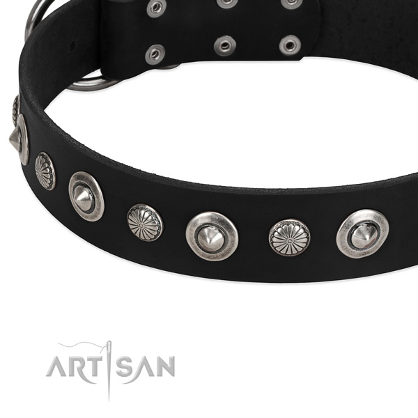 Extraordinary decorated dog collar of strong leather