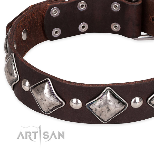 Everyday use adorned dog collar of durable leather