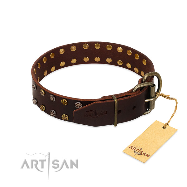 Comfy wearing full grain leather dog collar with trendy decorations