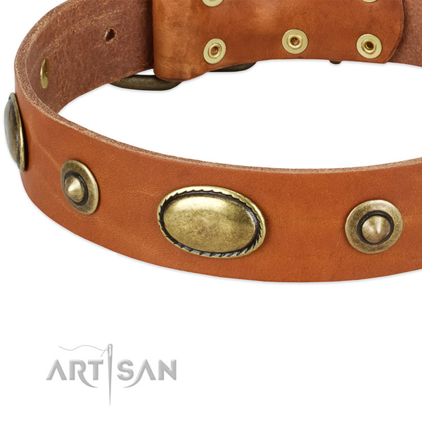 Strong studs on natural leather dog collar for your dog