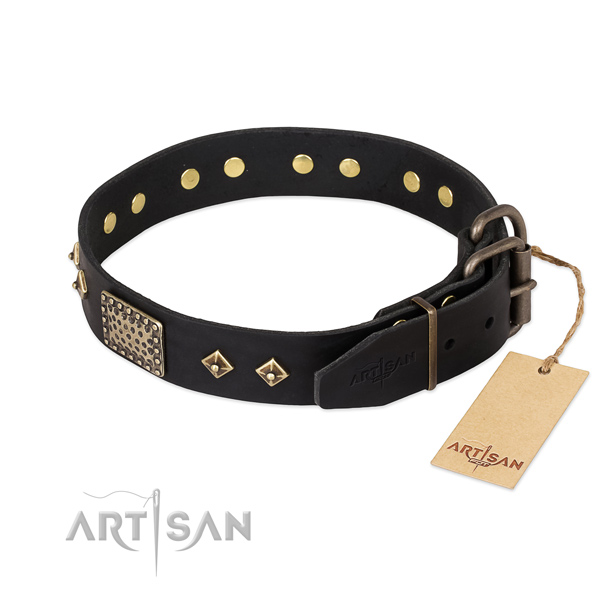 Leather dog collar with rust-proof hardware and decorations