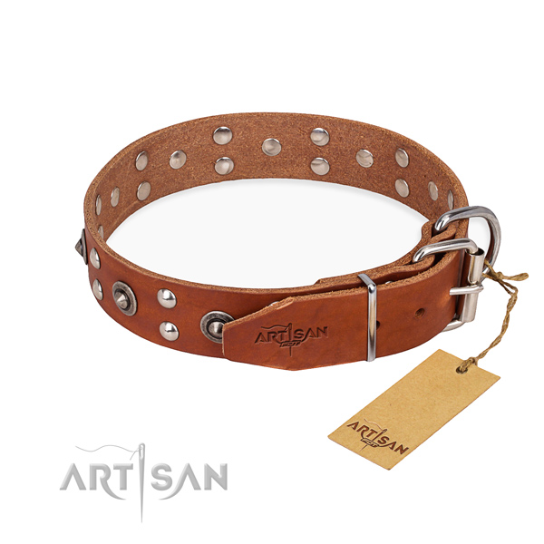 Corrosion proof traditional buckle on full grain leather collar for your lovely canine