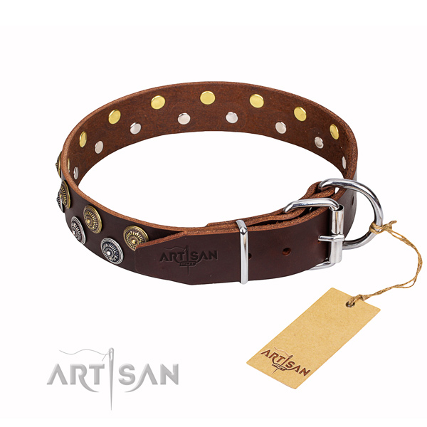 Daily use embellished dog collar of high quality leather