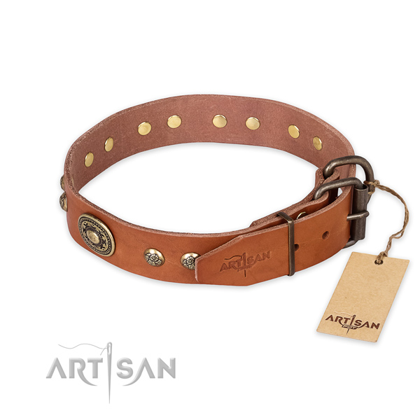Corrosion proof traditional buckle on full grain genuine leather collar for everyday walking your doggie