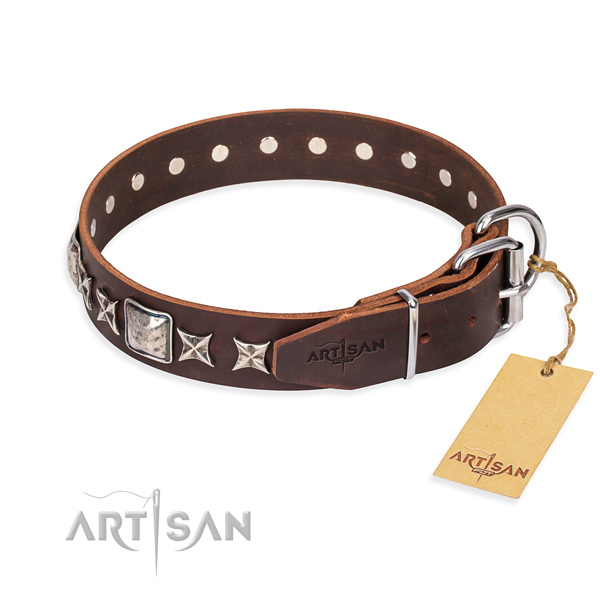 Durable embellished dog collar of full grain leather