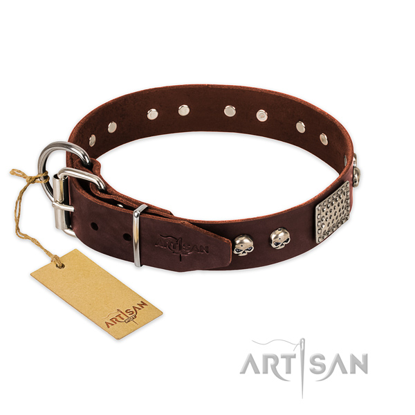 Corrosion proof D-ring on stylish walking dog collar