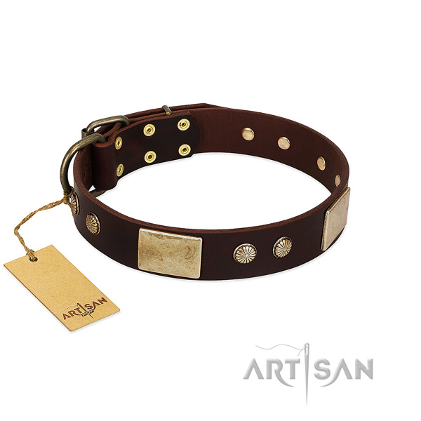 Easy wearing leather dog collar for basic training your doggie