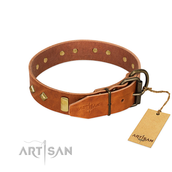 Everyday use leather dog collar with unique studs