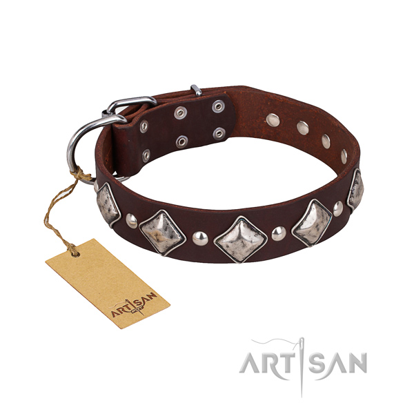 Stylish walking dog collar of top quality natural leather with adornments
