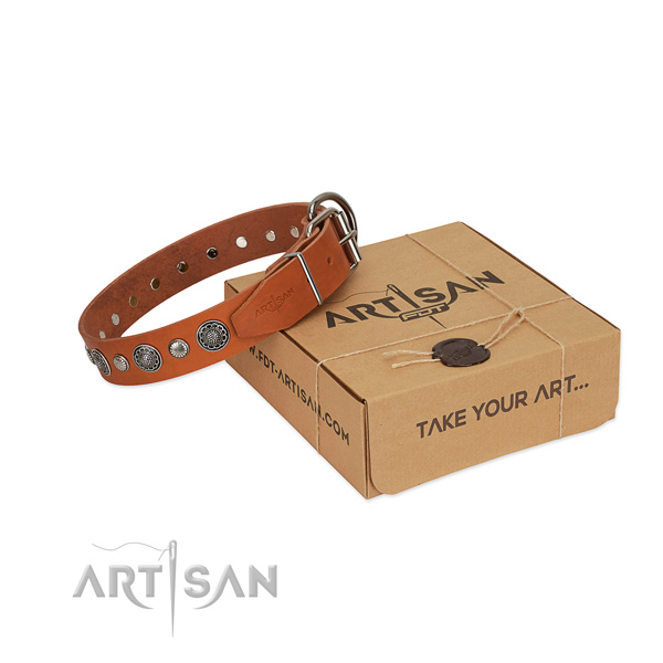Natural leather collar with reliable D-ring for your lovely four-legged friend