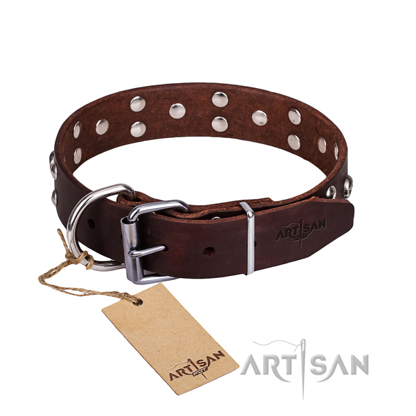Daily walking dog collar of top quality full grain natural leather with studs