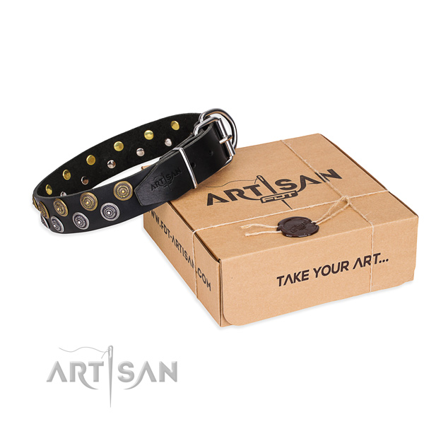 Handy use dog collar of best quality leather with embellishments