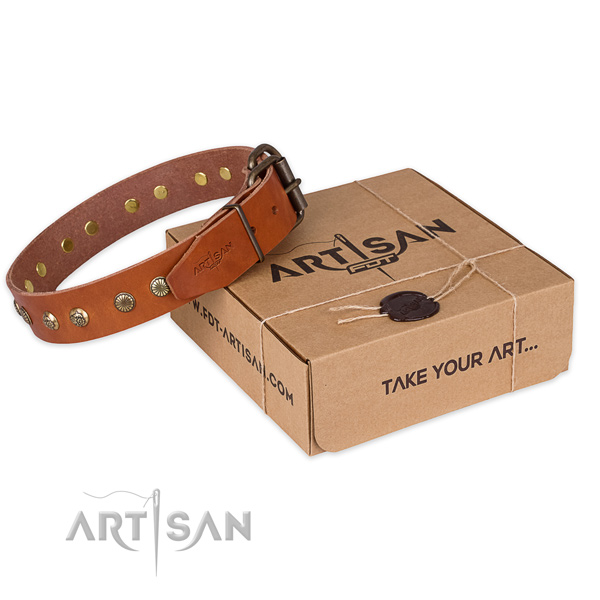 Rust-proof hardware on full grain leather collar for your beautiful canine