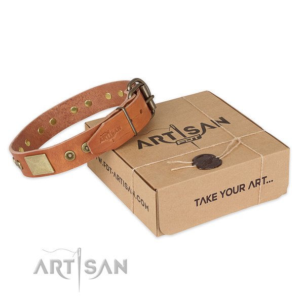 Corrosion proof traditional buckle on full grain genuine leather dog collar for comfy wearing