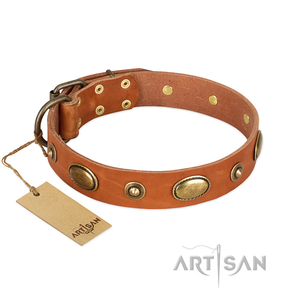 Top notch full grain natural leather collar for your four-legged friend