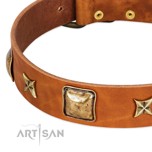 Corrosion resistant adornments on full grain leather dog collar for your pet