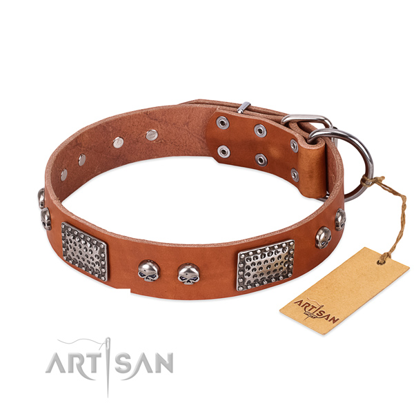 Easy to adjust genuine leather dog collar for daily walking your pet