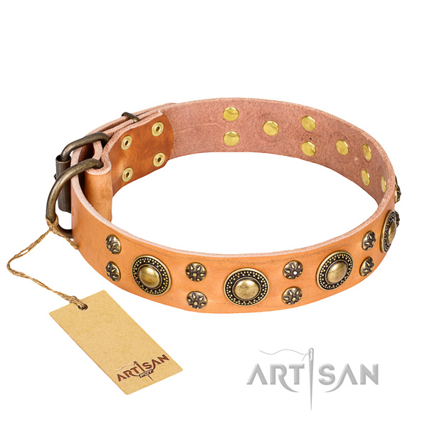 Stylish walking dog collar of quality full grain genuine leather with embellishments