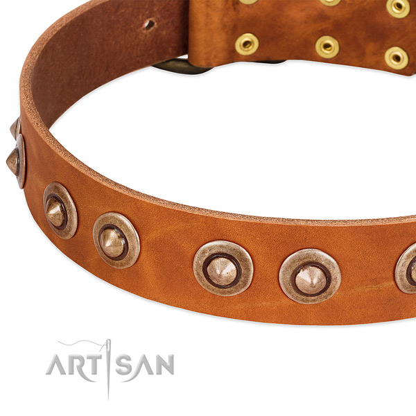 Durable hardware on genuine leather dog collar for your dog