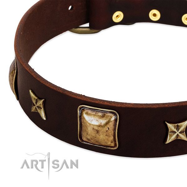Reliable decorations on full grain leather dog collar for your pet