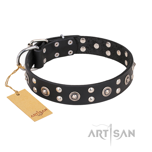 Stylish walking impressive dog collar with corrosion proof traditional buckle