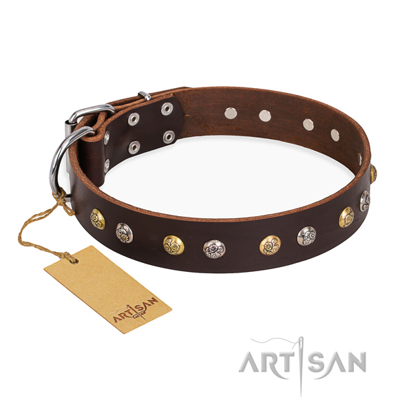 Daily use fashionable dog collar with strong D-ring