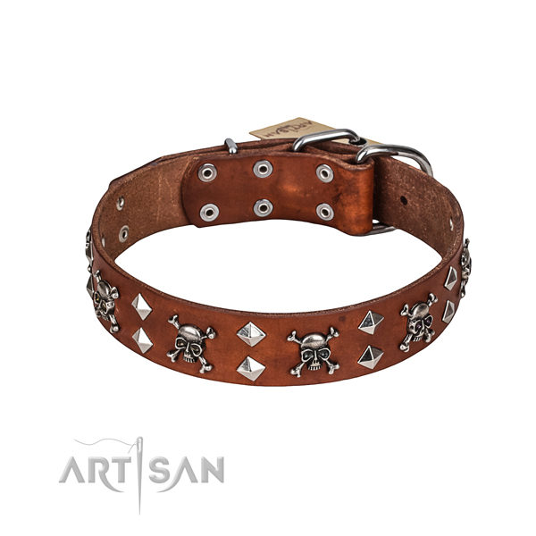 Stylish walking dog collar of finest quality full grain genuine leather with studs