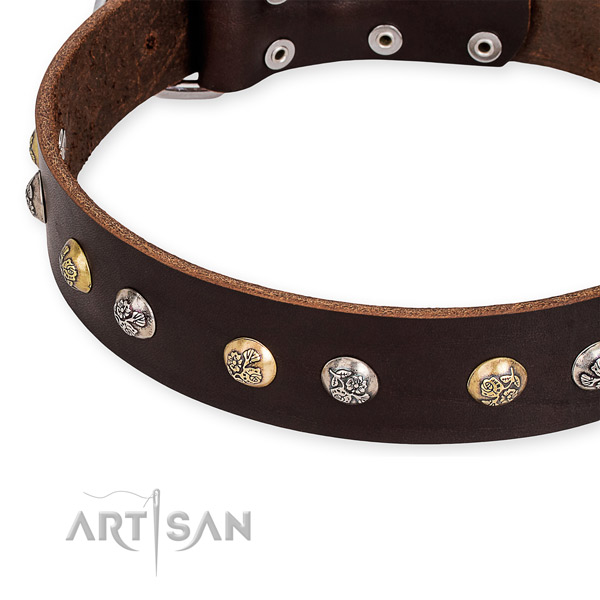 Full grain natural leather dog collar with incredible reliable adornments