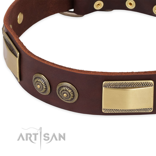 Awesome leather collar for your impressive dog