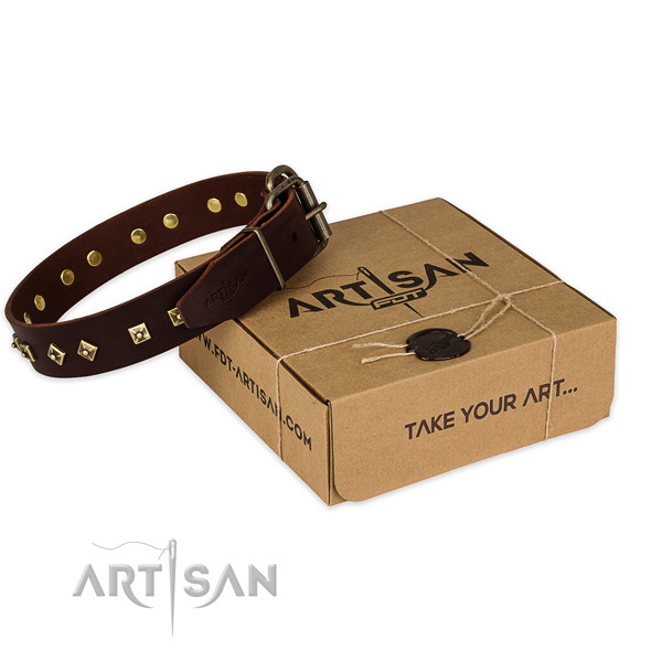 Durable D-ring on full grain genuine leather dog collar for walking