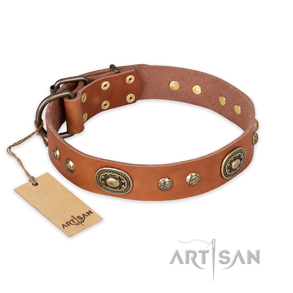 Top notch full grain leather dog collar for daily walking