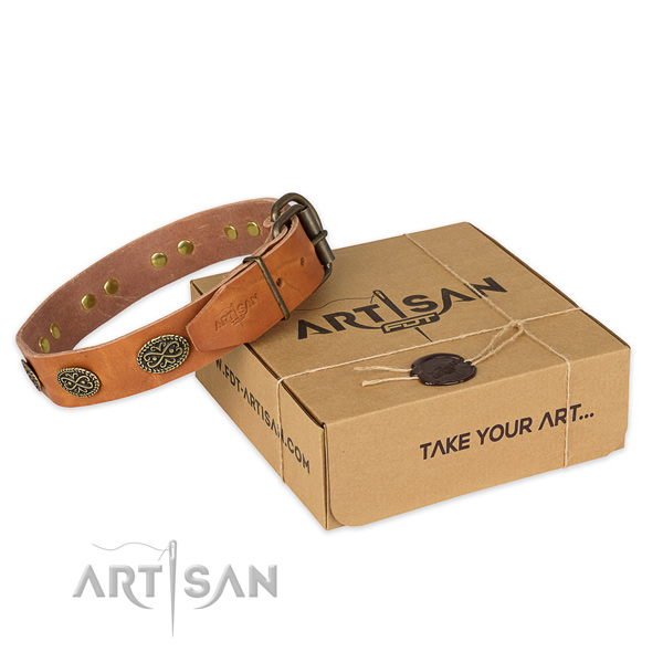 Rust-proof buckle on genuine leather collar for your attractive dog