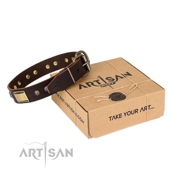 Stylish full grain natural leather collar for your attractive dog