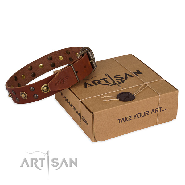 Rust resistant fittings on full grain natural leather collar for your stylish canine