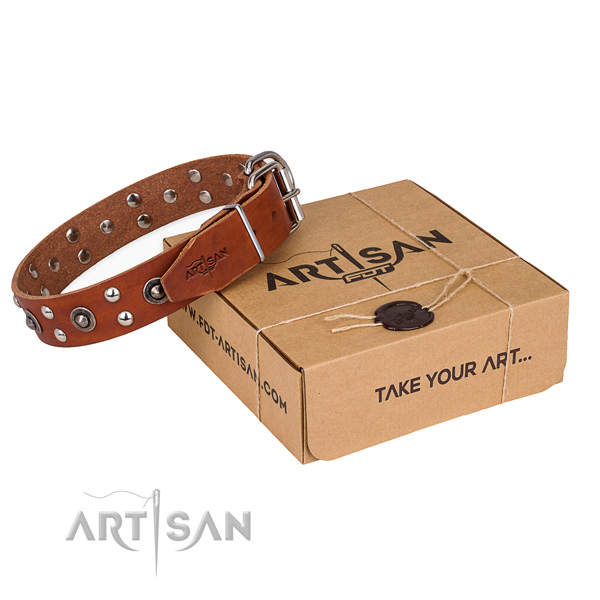 Rust resistant fittings on leather collar for your lovely pet