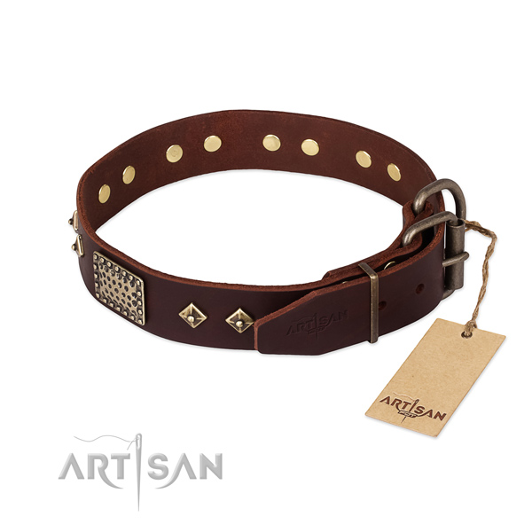 Genuine leather dog collar with strong traditional buckle and studs