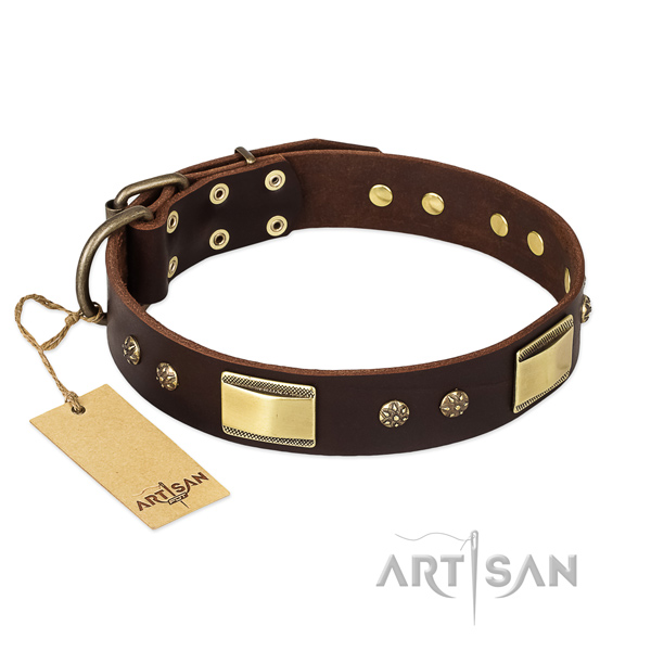 Genuine leather dog collar with durable D-ring and embellishments