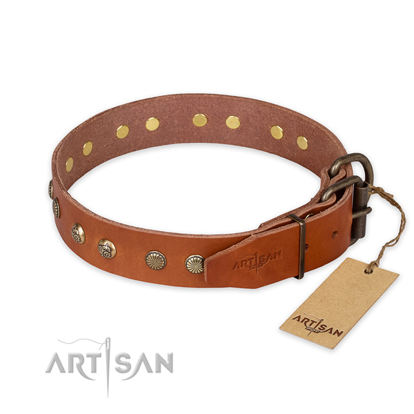 Reliable D-ring on natural genuine leather collar for your impressive dog