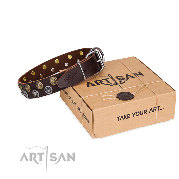 Everyday walking dog collar of best quality full grain genuine leather with decorations
