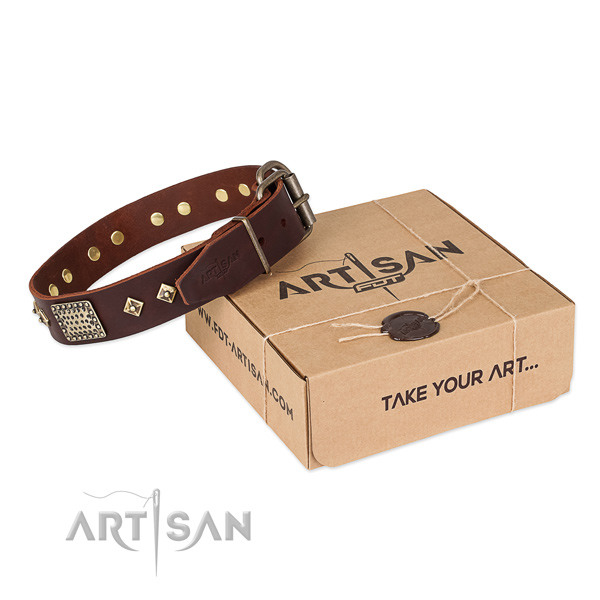 Easy wearing genuine leather collar for your handsome pet