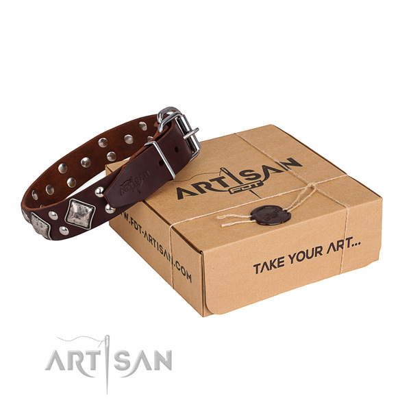 Walking dog collar with Exquisite rust-proof embellishments