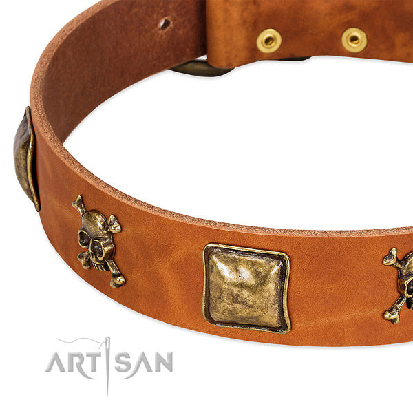 Unusual genuine leather dog collar with corrosion resistant decorations