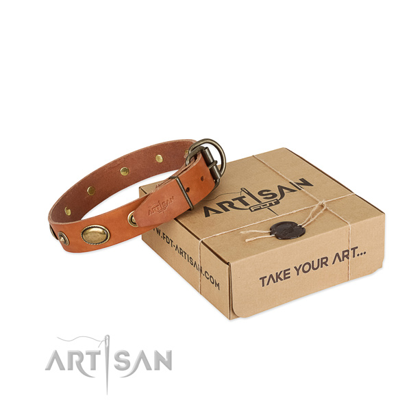 Strong studs on leather dog collar for your four-legged friend