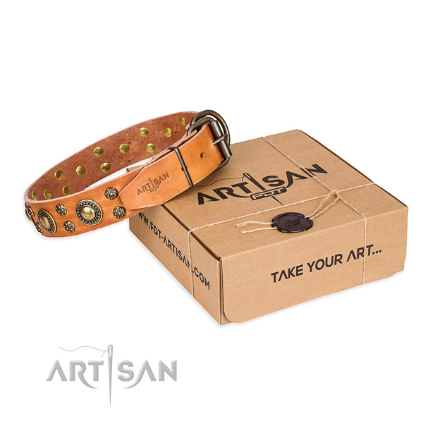 Stylish walking dog collar of best quality full grain leather with decorations