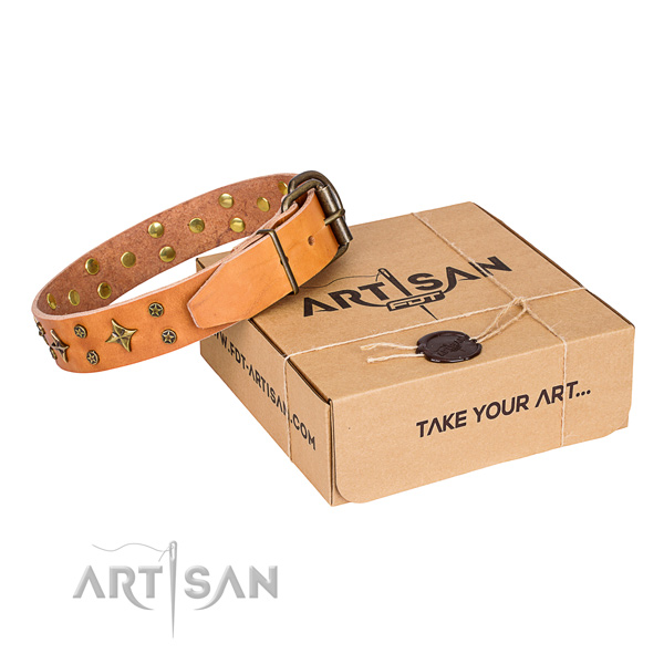 Daily use dog collar of best quality leather with embellishments