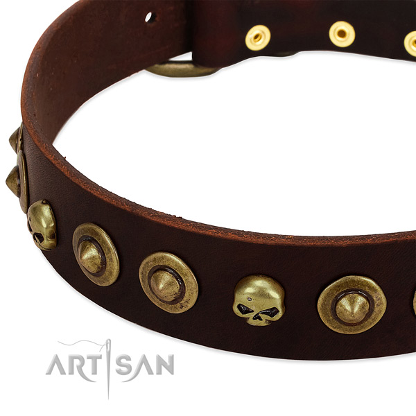 Unusual decorations on genuine leather collar for your dog