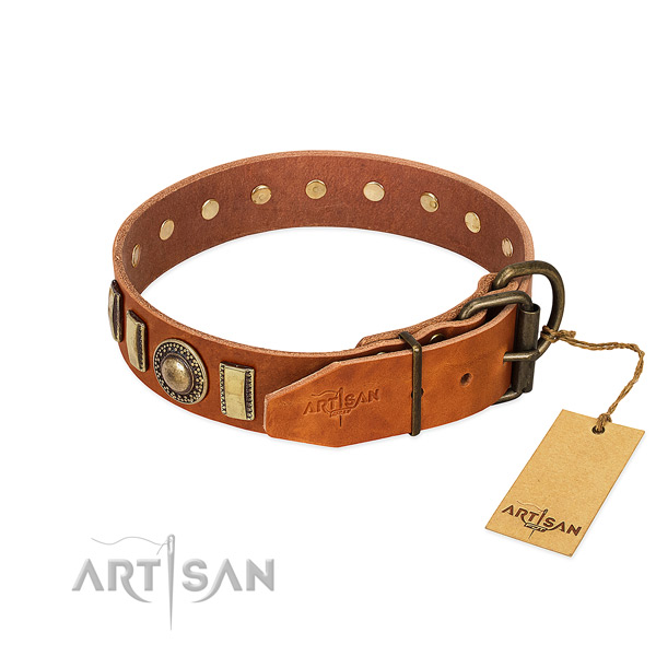 Perfect fit full grain leather dog collar with rust resistant fittings