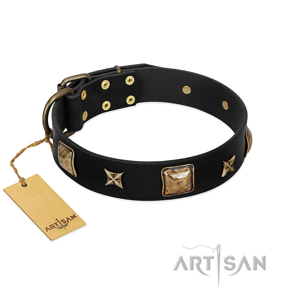 Full grain leather dog collar of gentle to touch material with exceptional studs