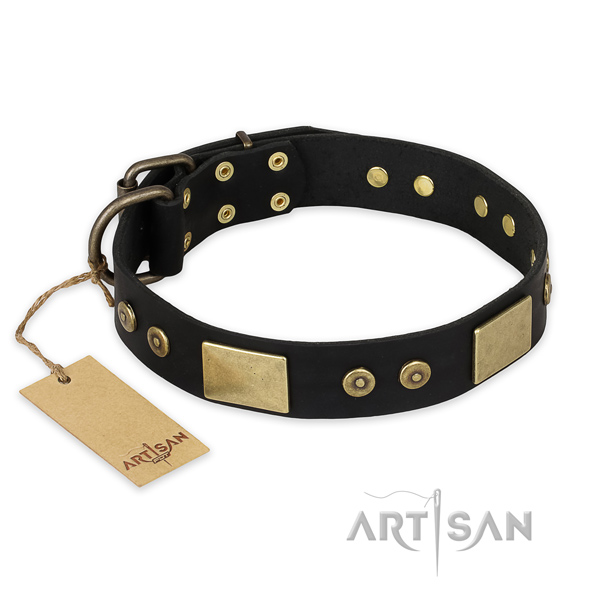 Studded genuine leather dog collar for stylish walking
