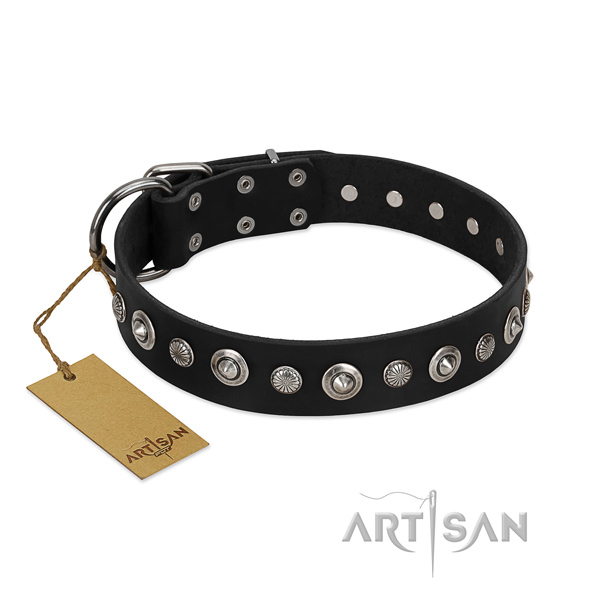 Finest quality genuine leather dog collar with top notch embellishments